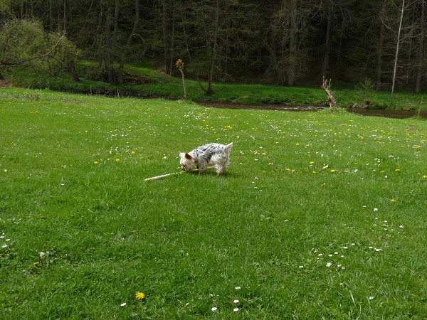 Venku je taky dobře ;-)